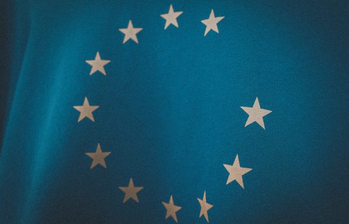 blue and white star print textile